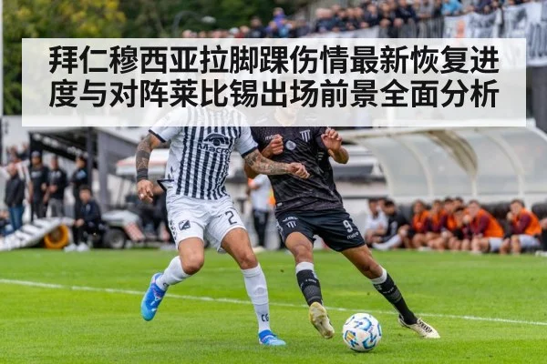 soccer stadium match action